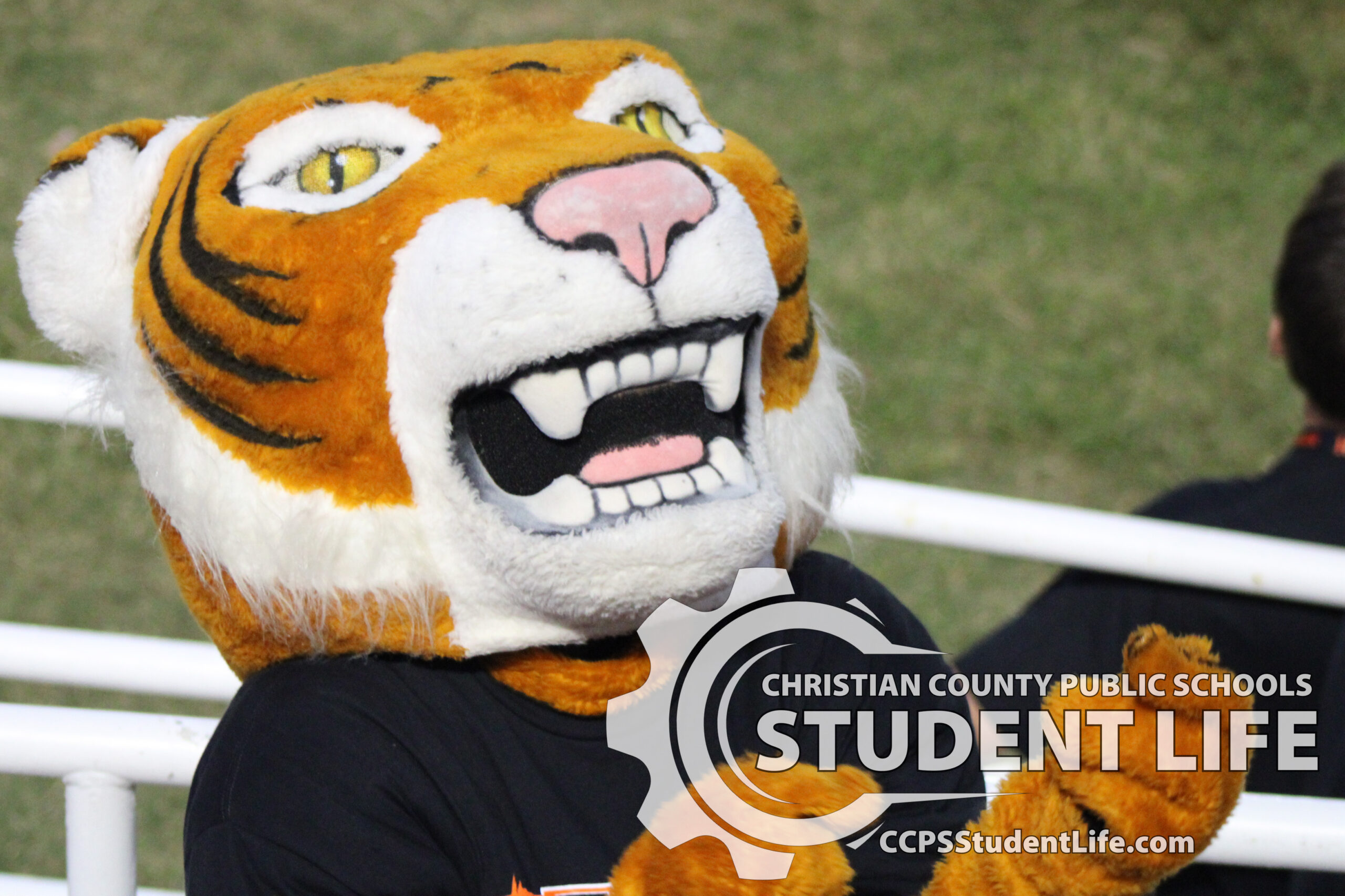 Launch of Fall Sports with Meet the Tigers