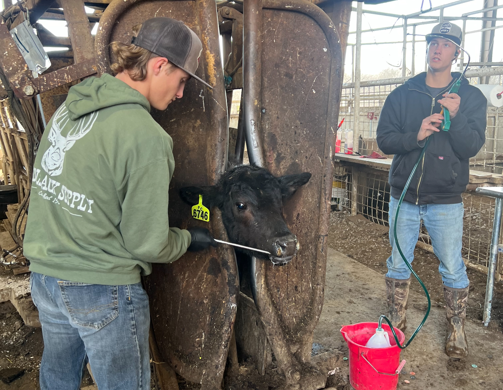 Noah and Micah Hook Gain Hands-On Experience at Fox Creek Cattle Company