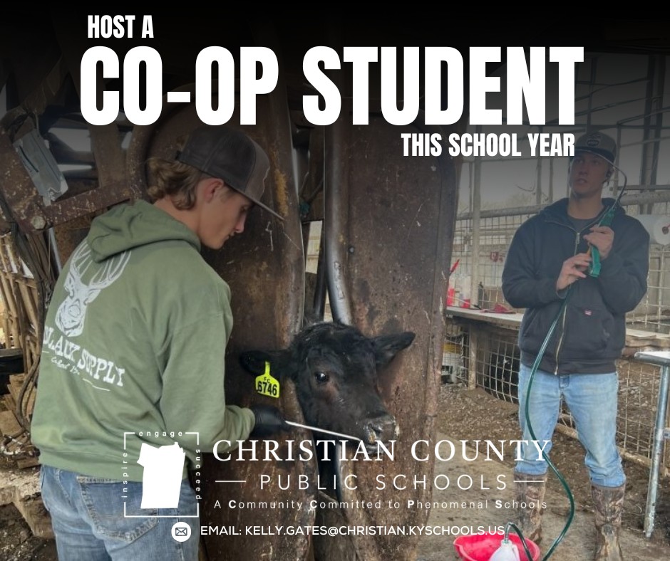 Local Businesses: Partner with Future Talent Through the Co-Op Program