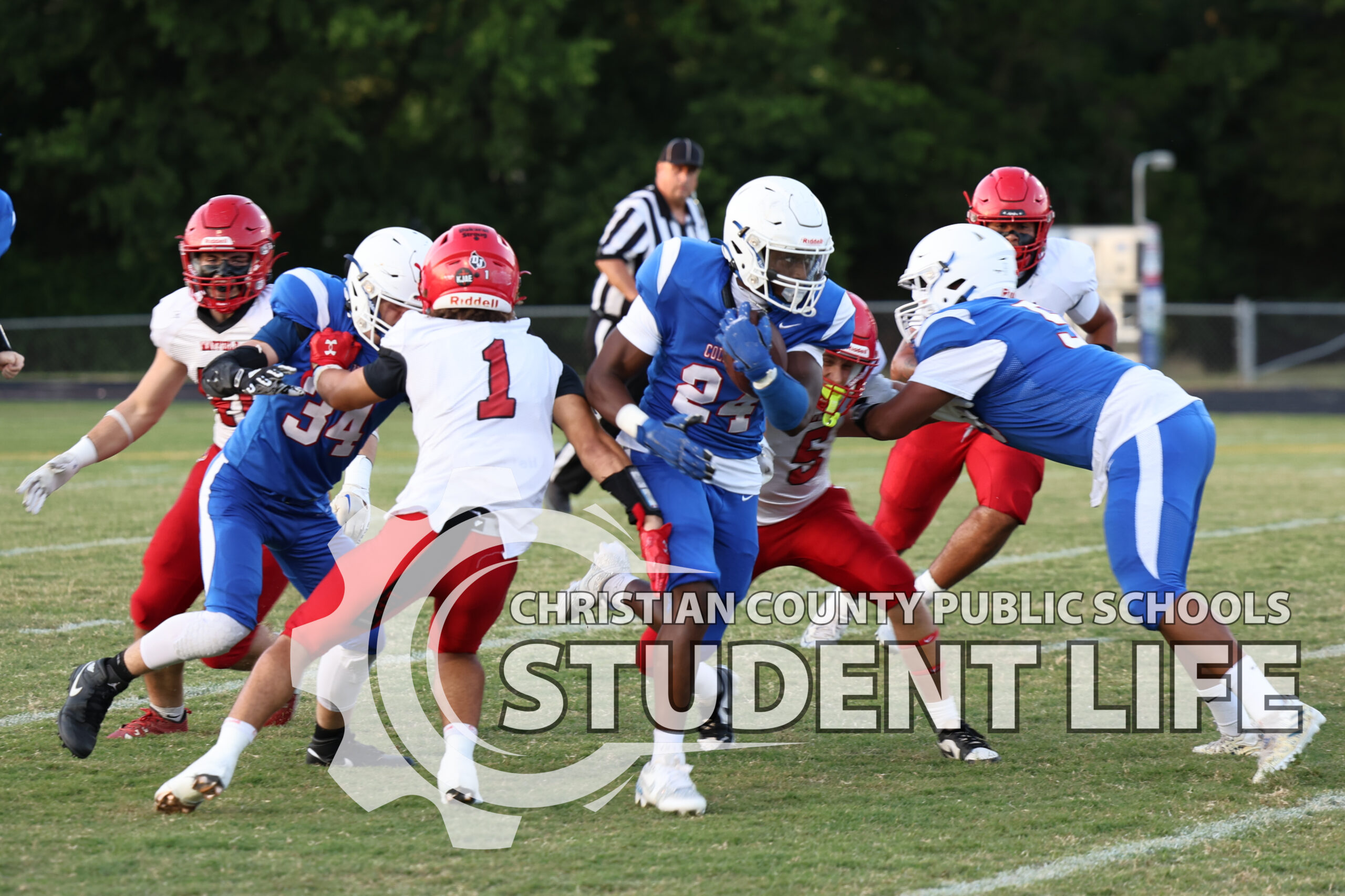 Harris and Cansler Lead the Way as Colonels Show Glimpses of Growth